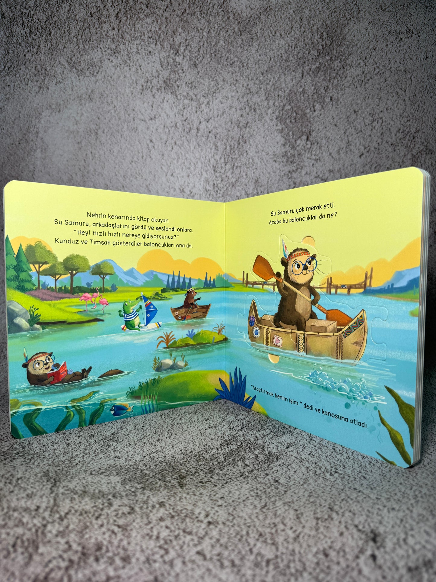 Beni De Yanına Alır Mısın? - Araştirmak Benim İşim