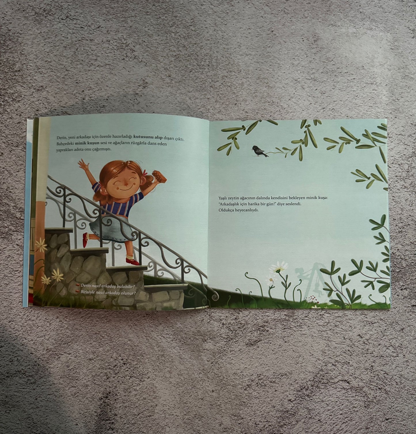 Arkadaşlık Bir Kutuya Sığar Mı?