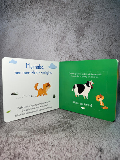 Bak Bul Sobe - Meraklı Kedi