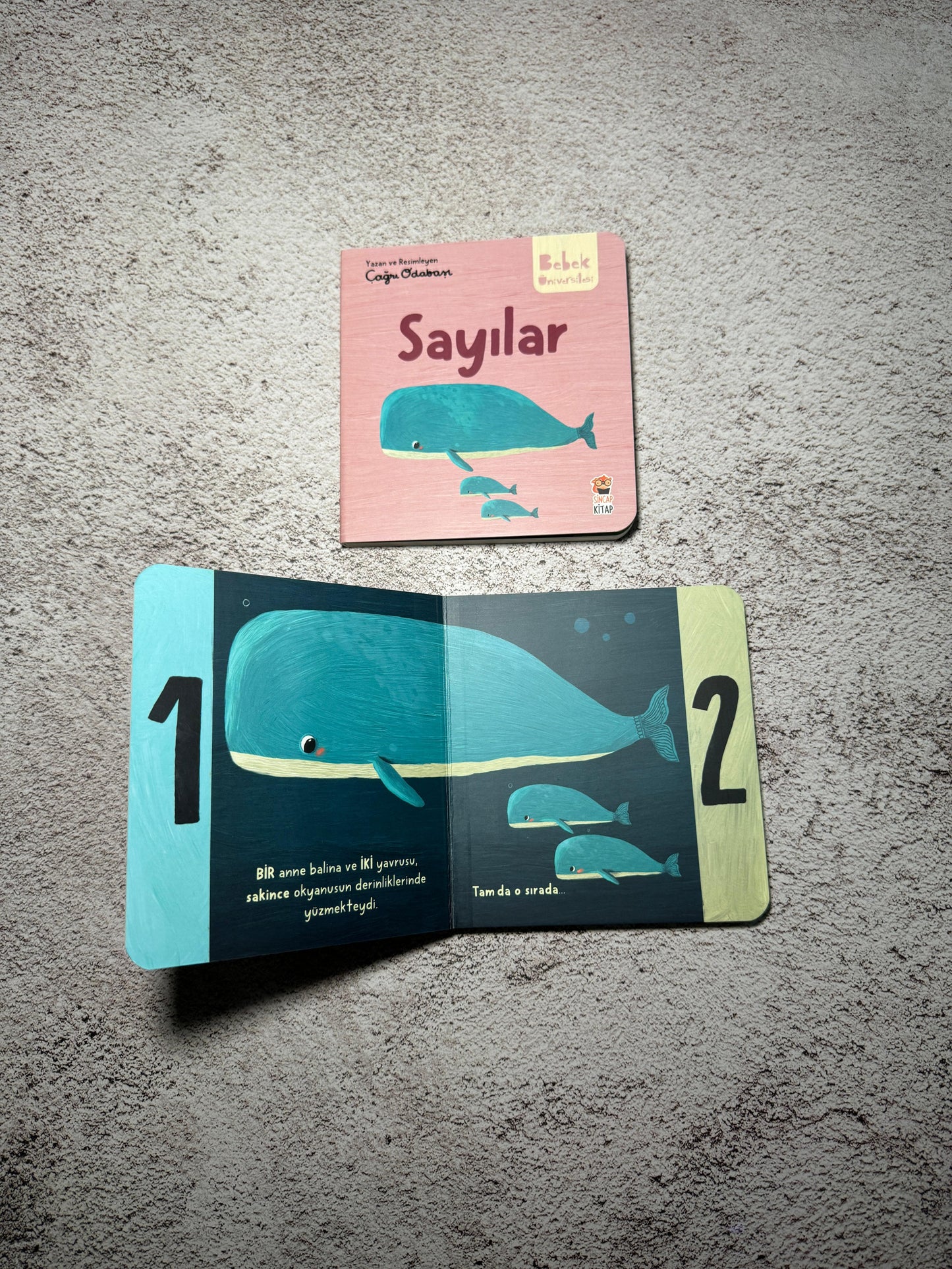Bebek Üniversitesi 2 - Set 4 Kitap