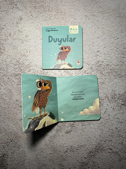 Bebek Üniversitesi 2 - Set 4 Kitap