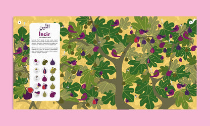 Kur'an'daki Bitkiler Ara-Bul